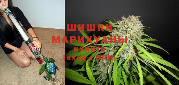 ПСИЛОЦИБИНОВЫЕ ГРИБЫ Белокуриха