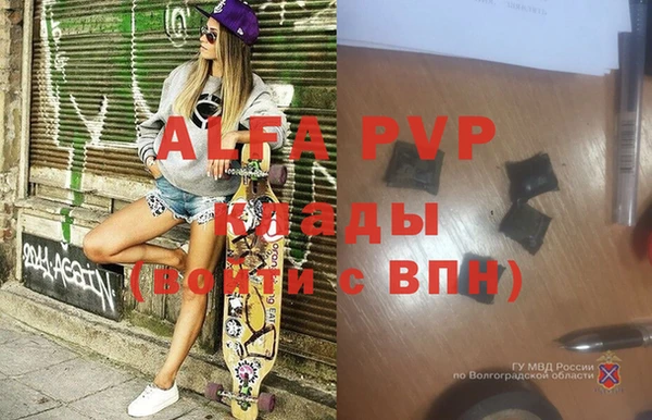 ПСИЛОЦИБИНОВЫЕ ГРИБЫ Белокуриха