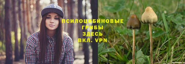ПСИЛОЦИБИНОВЫЕ ГРИБЫ Белокуриха