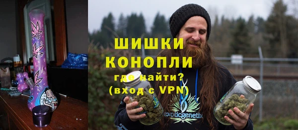 ПСИЛОЦИБИНОВЫЕ ГРИБЫ Белокуриха